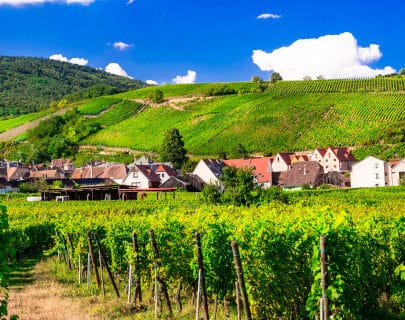 vignoble-alsace