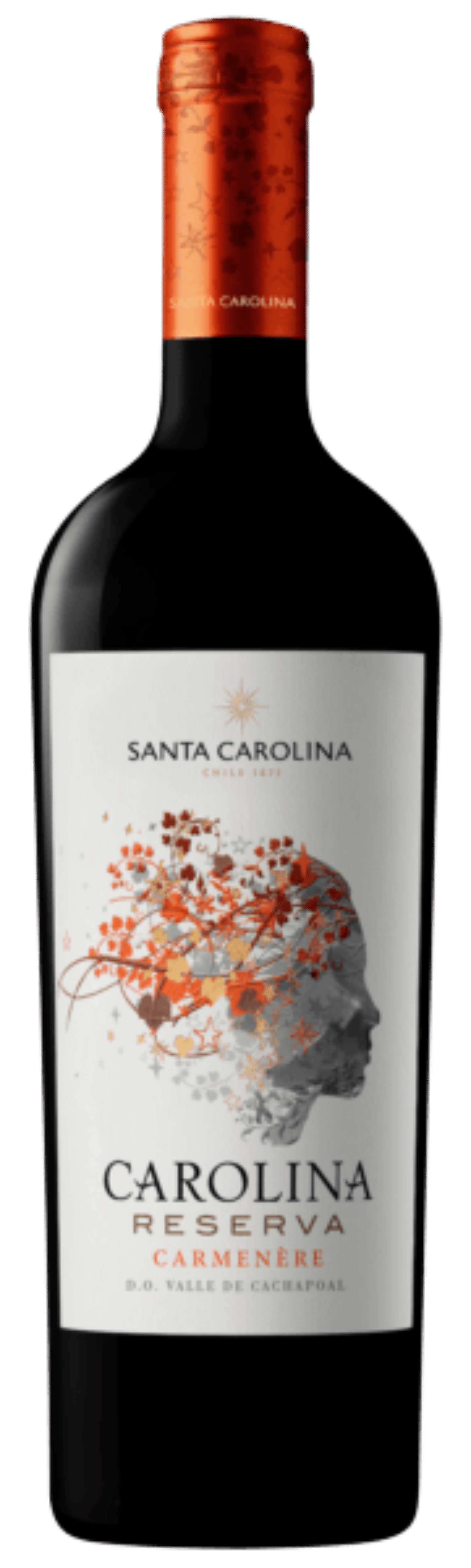 Santa carolina. 2019 Santa Carolina Carolina reserva Cabernet Sauvignon. Вино Селлар Селекшн Карменер. Селлар Селекшн Каберне Совиньон.