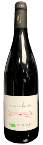 bourgueil vin rouge