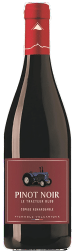 pinot noir auvergne